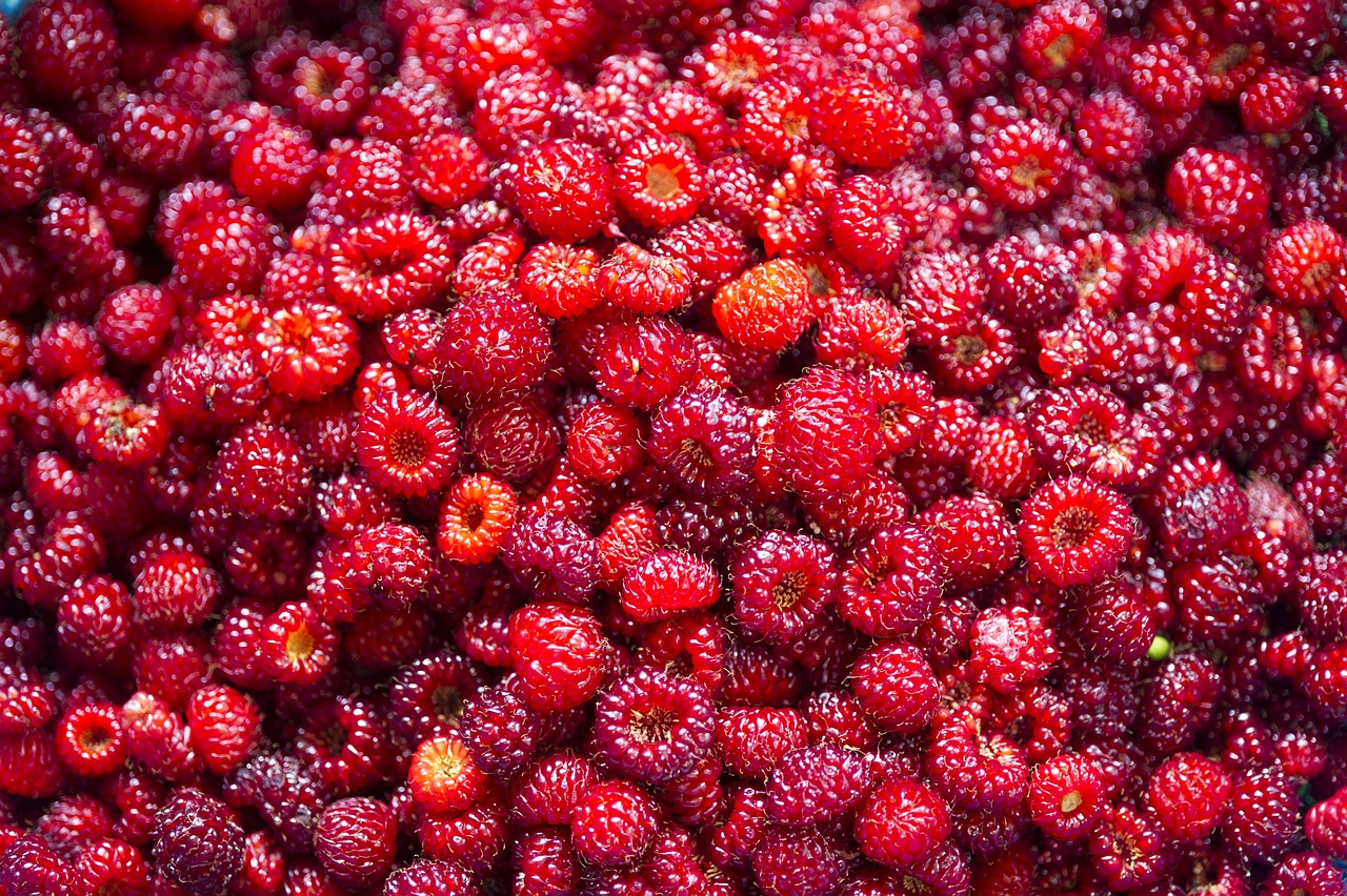 How to Grow Juicy, Tasty Strawberries